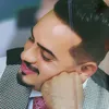 karar_a313