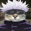 cattifying