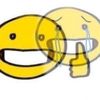 iiesh.a