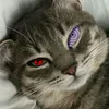 nutyeez