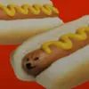 hotdogeuntilimfamous