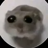 maybelu1z
