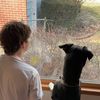gushenry1