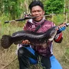 Supiannor Yannor