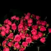 theshy_ntd