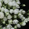 diep_anh0211