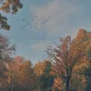 123456789nn_1
