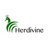 herdivine