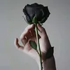 shosho_altai