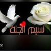 nasim_aljanna2