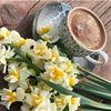 _aliyeva_34