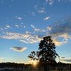 isnymoen