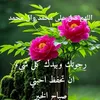 user57055361