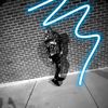 sheed447