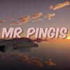 mrtingispingis