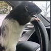 sanu_11_01