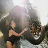 travelcinderella
