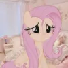 nexiola