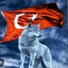 efsane4344