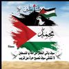 user017869563