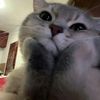 spyzzw_