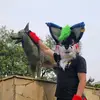 chaseoraposo