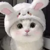 phuongtran_05