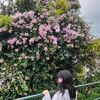 snehajoshi9841