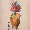 user981411336samali