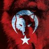 blackwolf4242