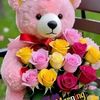 user67113319