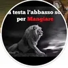 gabrirossi7