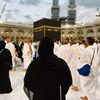 heba2464