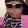 hot_for_bingus