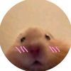 useri19lxxf1nf