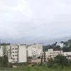 lucstoody
