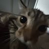 maxxxx_vb