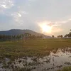 thaiphuc19xx