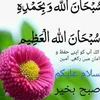 user512142258