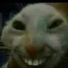 ttraprap