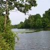 isyanvar_68