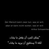 user1196250456966