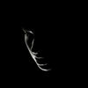 mr_revengee