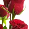 user122u383