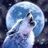thelonewolf43