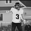 gaven463