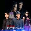 Internal Pkyek Diaries