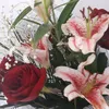 user507608012