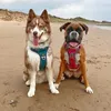 Loki & Storm