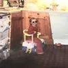 nonoida